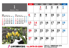 �ʐ^���^�C�v�iA)