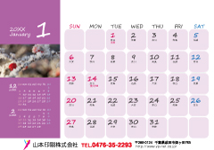 �ʐ^���^�C�v�iD)
